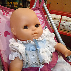 P1040537_M.jpg