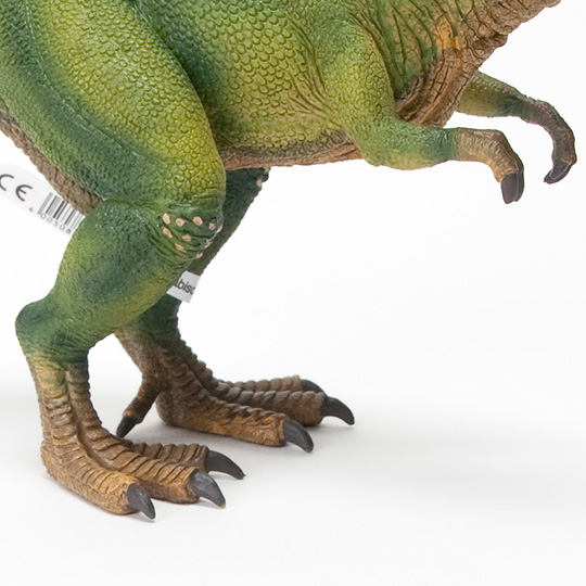 ティラノサウルスの前足と後ろ足の大きさ