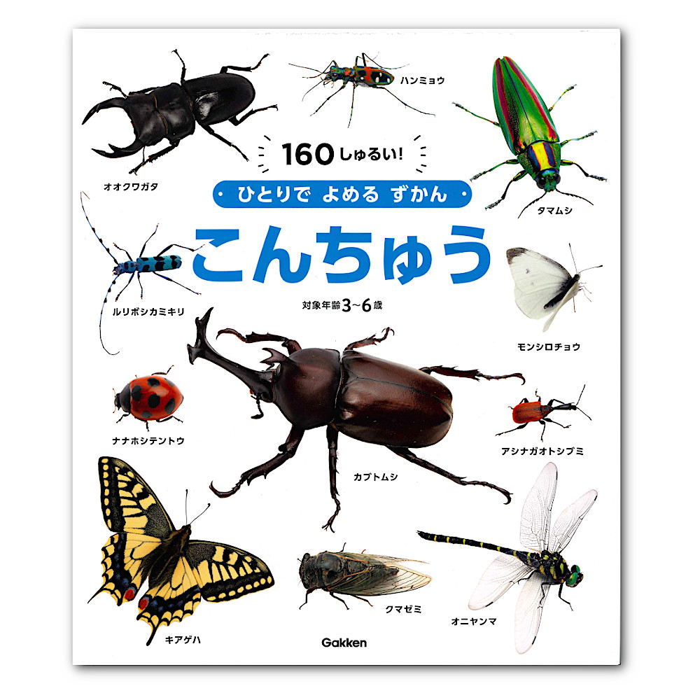 ひとりでよめるずかん「こんちゅう」：本・絵本：百町森