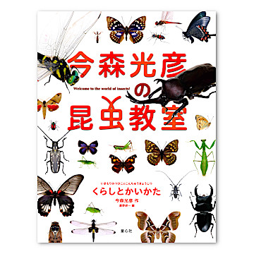 今森光彦の昆虫教室 くらしとかいかた：本・絵本：百町森