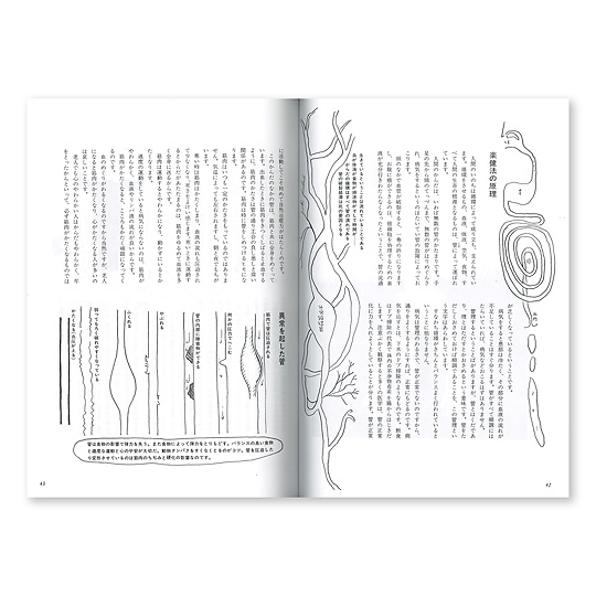 二人ヨーガ 楽健法 本 絵本 百町森