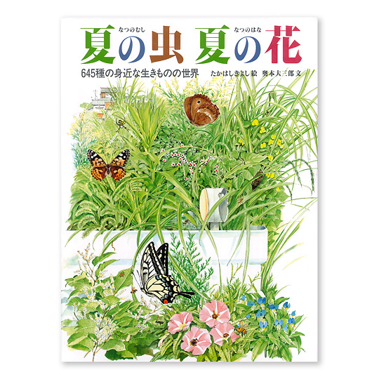 夏の虫 夏の花：本・絵本：百町森