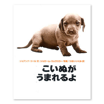 こいぬがうまれるよ：本・絵本：百町森