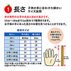 qǂp͂ QΗpi13cmjF 