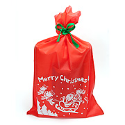 クリスマス専用プレゼント袋：百町森