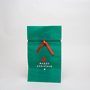 クリスマス専用プレゼント袋：百町森