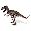 恐竜発掘キット ティラノサウルス： 