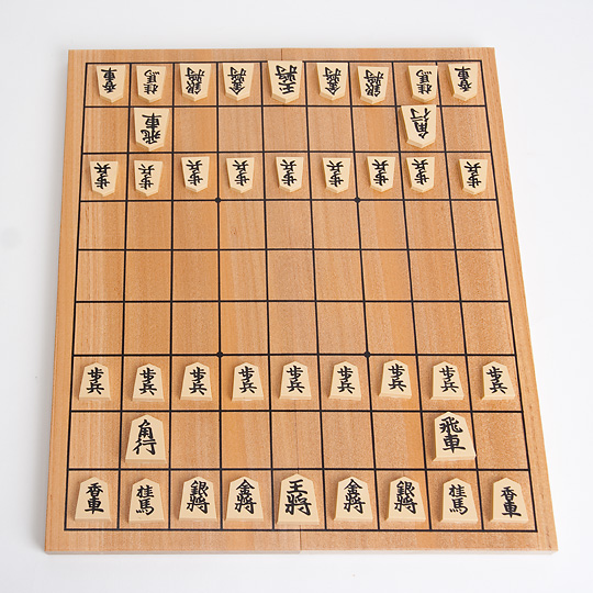 駒付きです将棋版と駒