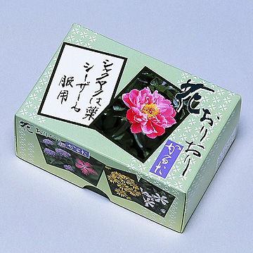 希少／糸魚川ふるさとかるた／昭和レトロ／アンティーク／骨董品／お宝／遊戯 貴重 希少 昭和レトロ 希少本 たのしい刺しゅう図案集 2 雄鶏社