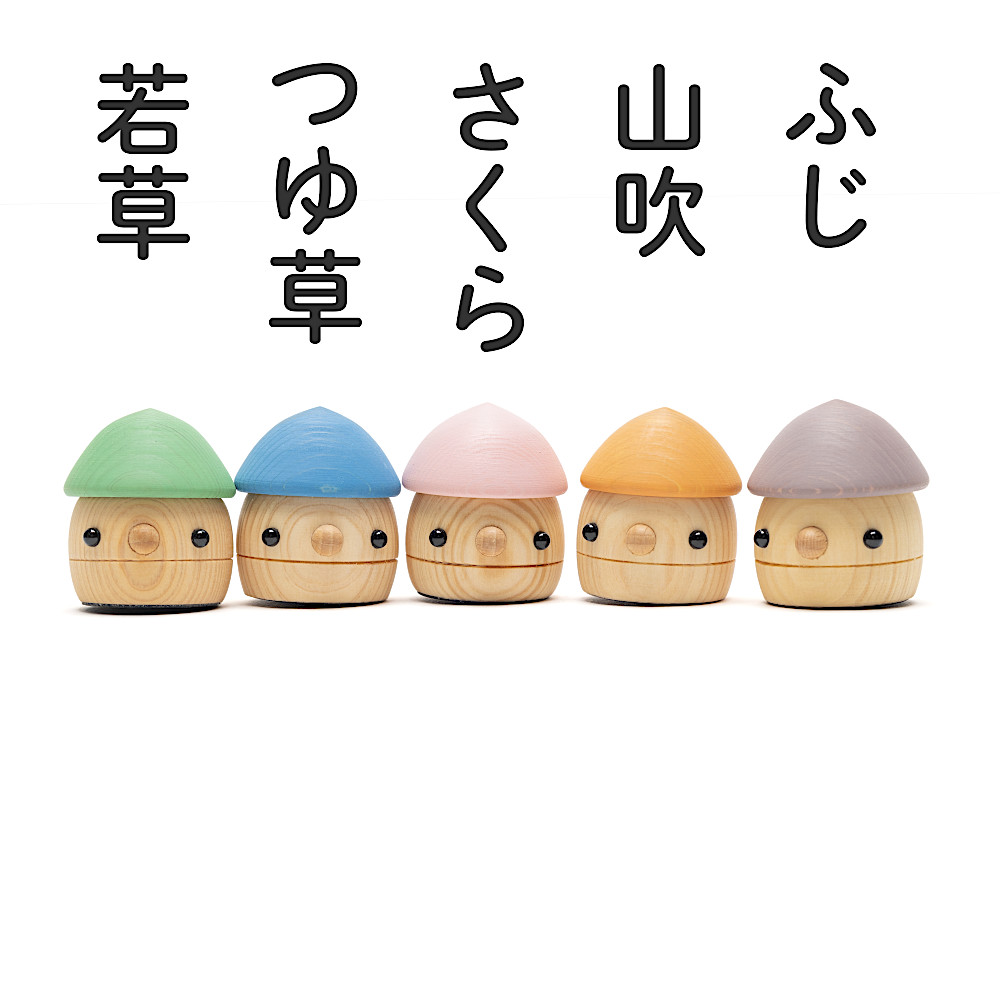 どんぐりひのき(つゆ草):