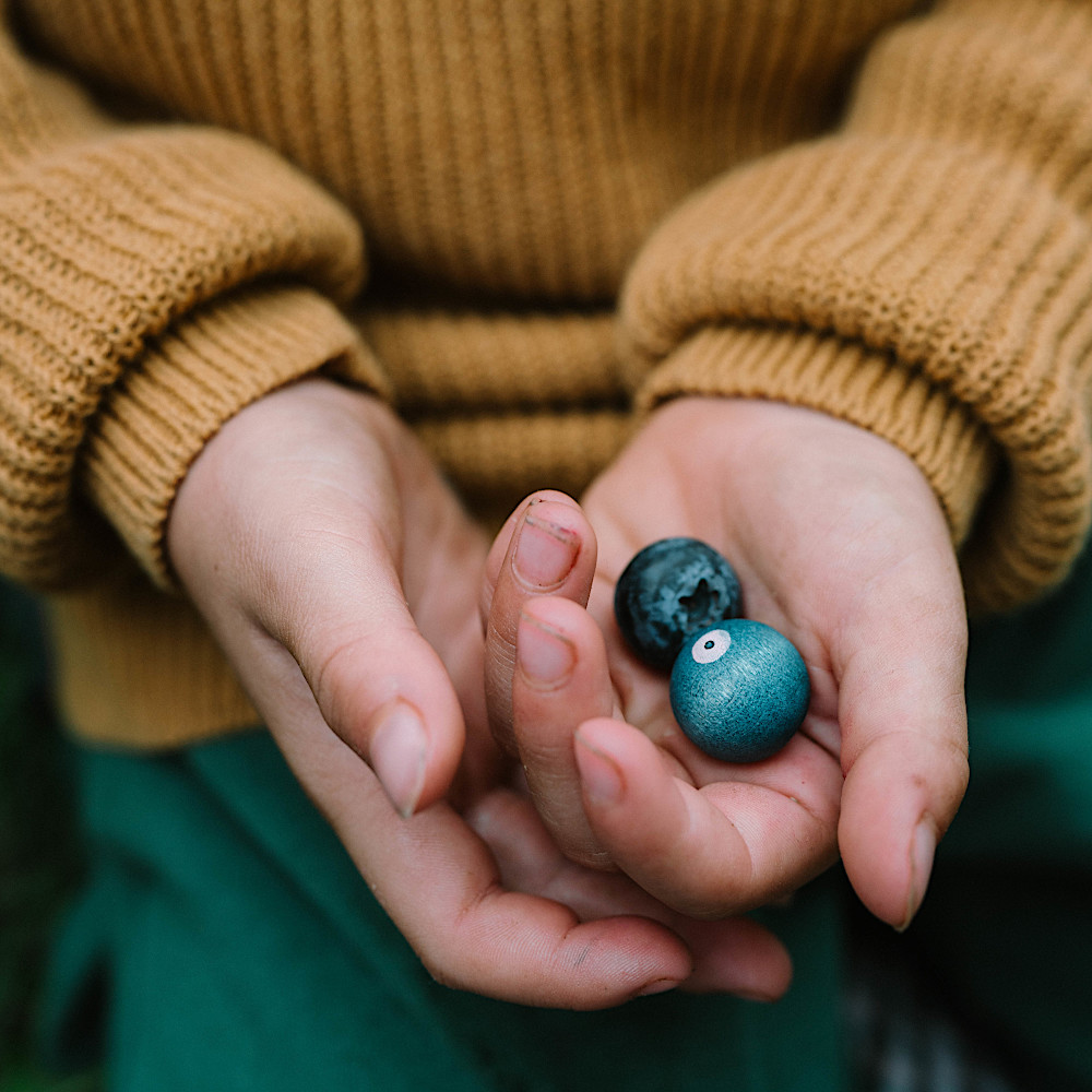 26-286 ミニ・フルーツ: