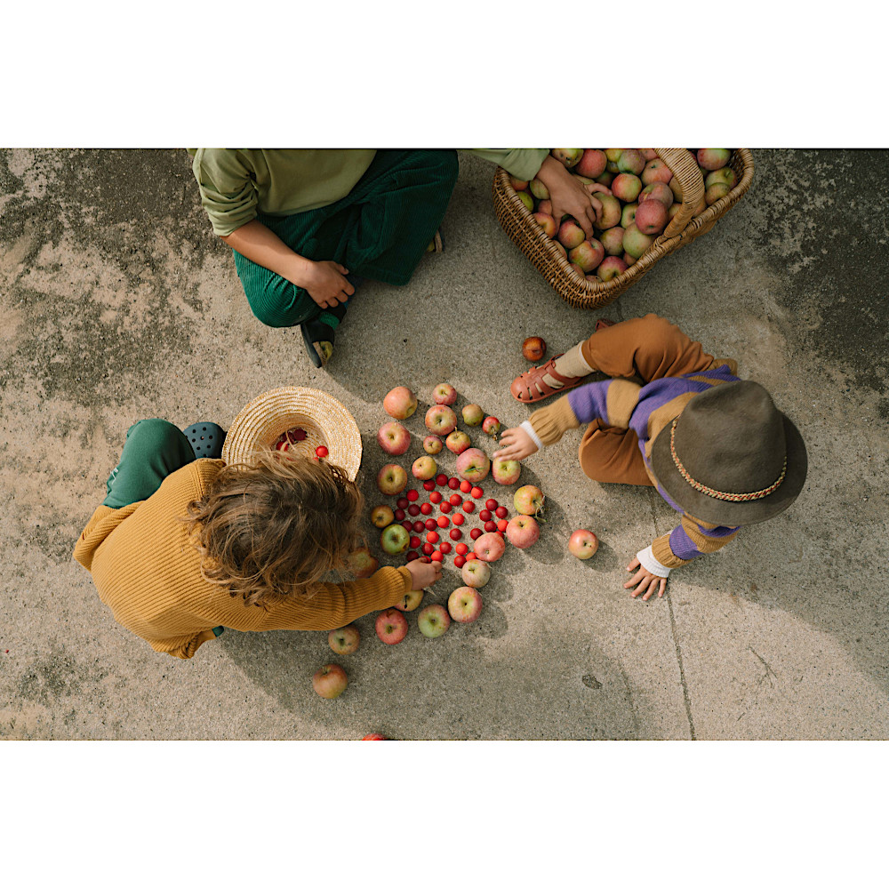 26-290 まんだらハーフ・スフィア: