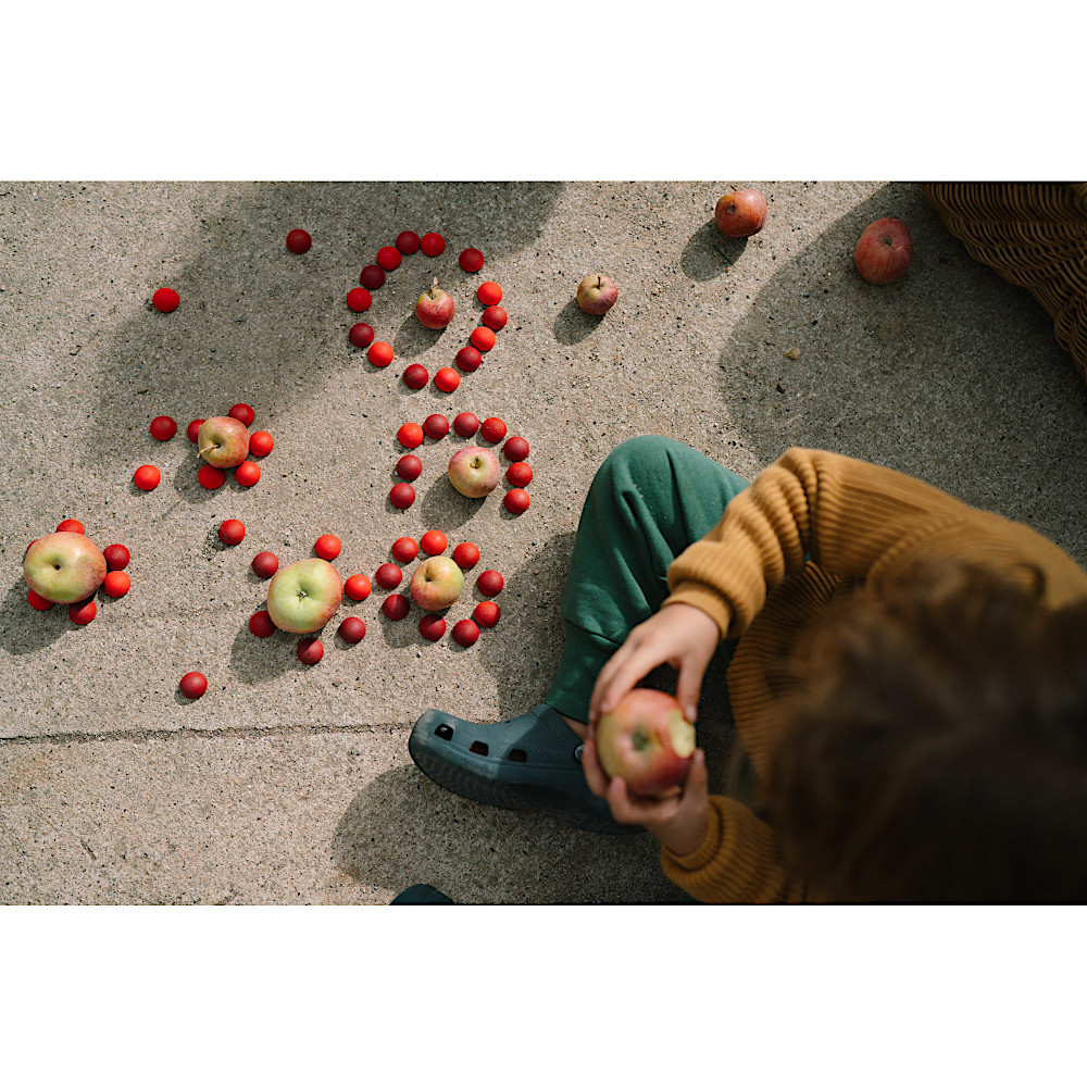 26-290 まんだらハーフ・スフィア: